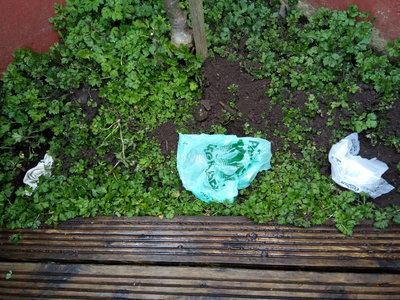 Image of plastic bags -eco committee