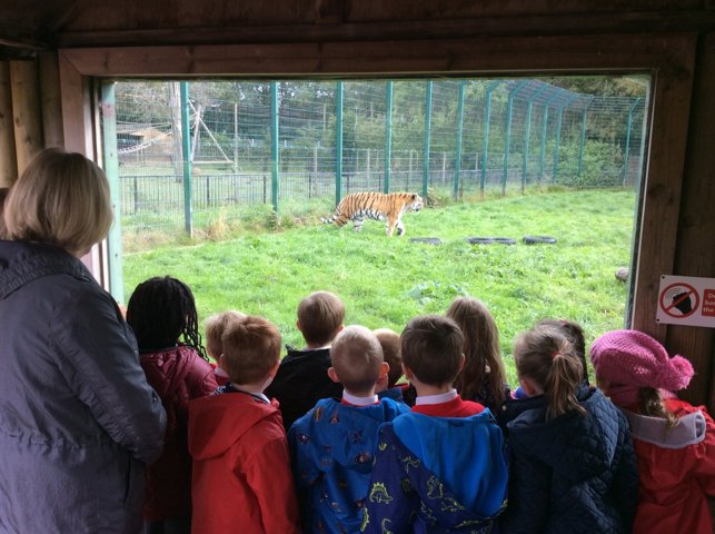 Image of Year 1 visit Blackpool Zoo.